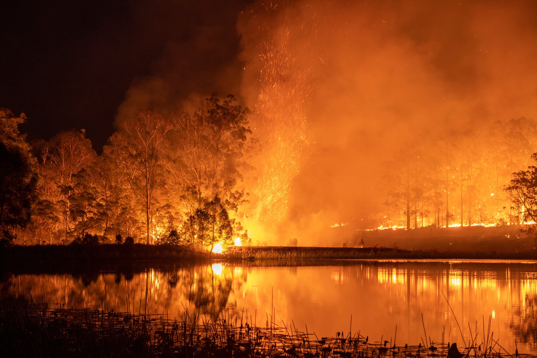 How Fashion Is Helping The Devastating Australia Fires News Cfda